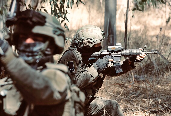 יחידה רב מימדית