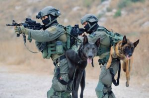 יחידת עוקץ