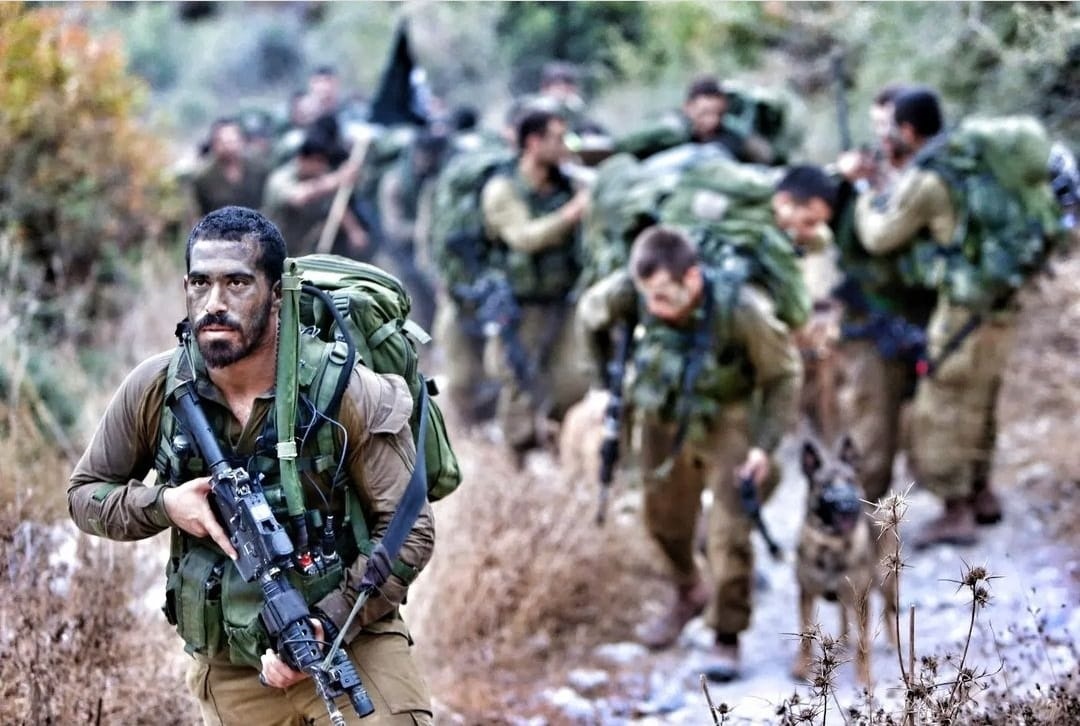 מפקד